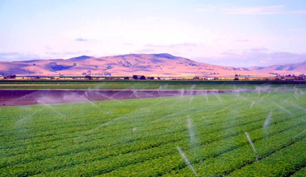 Farmer in plaid shirt controlled his field.